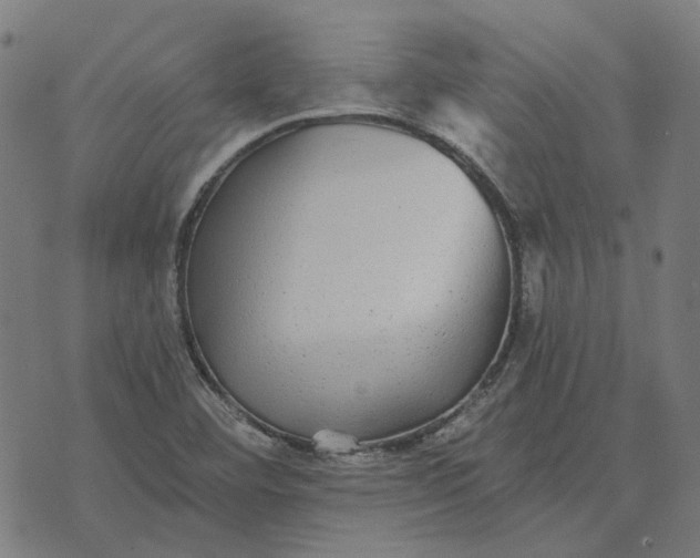 X0000070401460200606231750