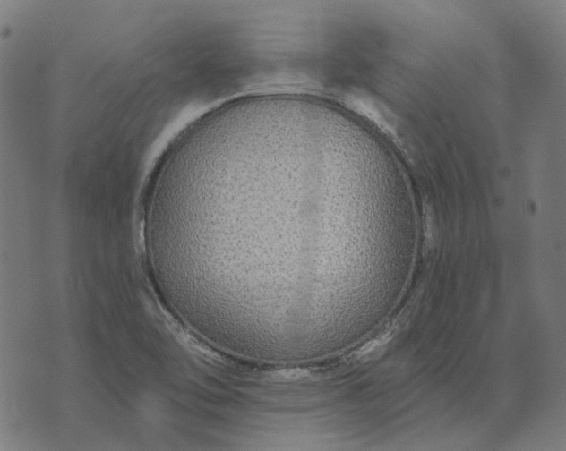 X0000070401462200606231750