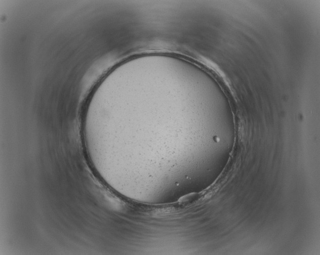 X0000070401464200606231750