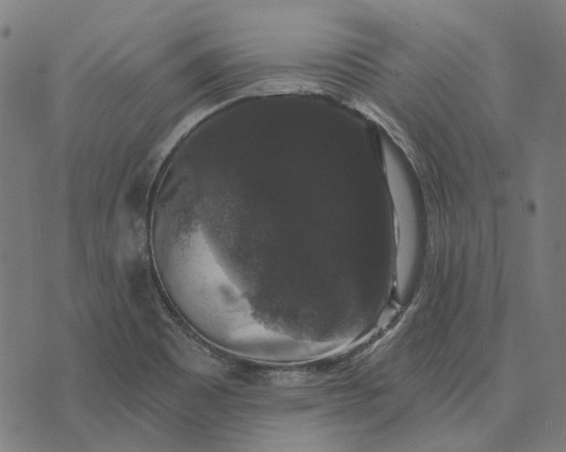 X0000070401465200606231750