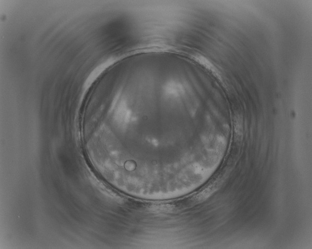 X0000070401466200606231750