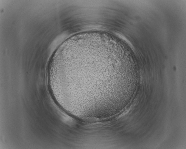 X0000070401467200606231750