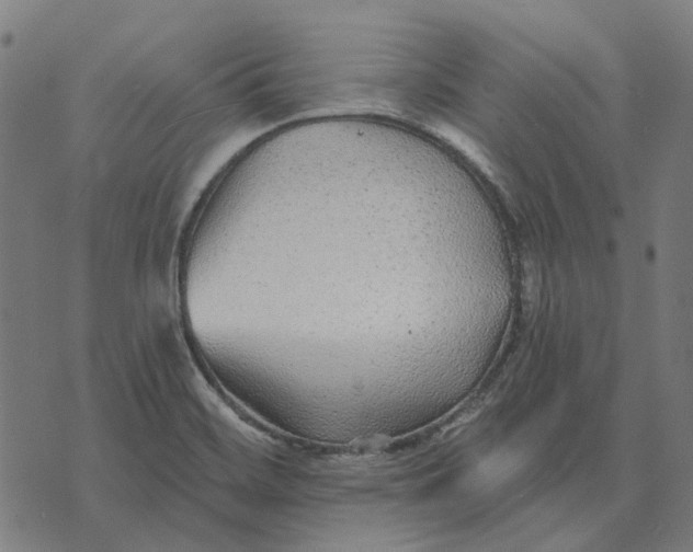 X0000070401468200606231750