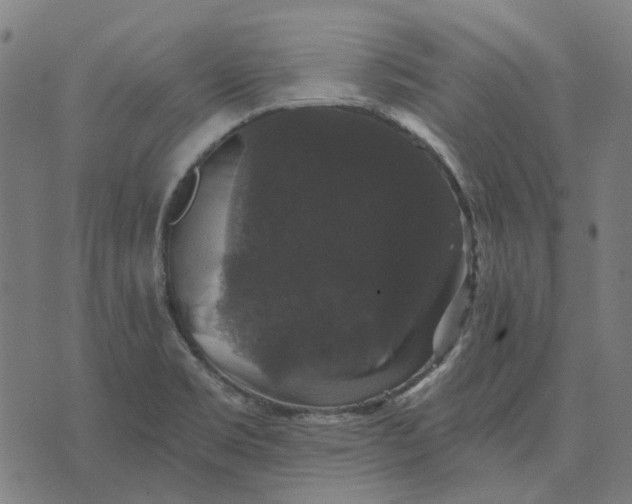 X0000070401469200606231750