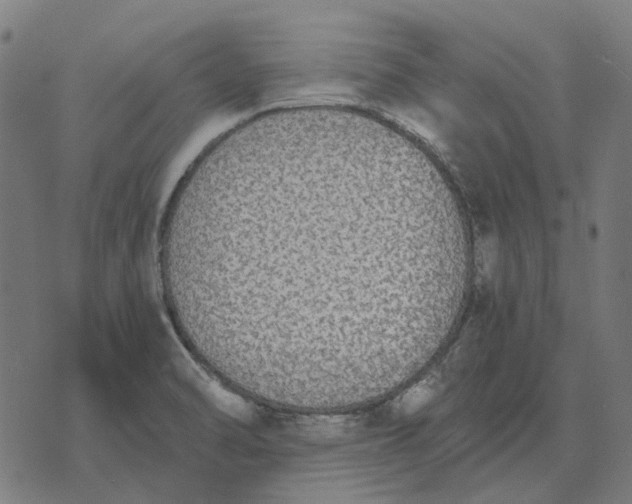 X0000070401470200606231750