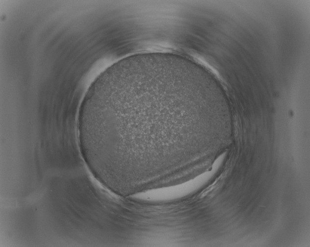 X0000070401471200606231750