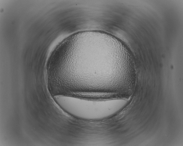 X0000070401472200606231750