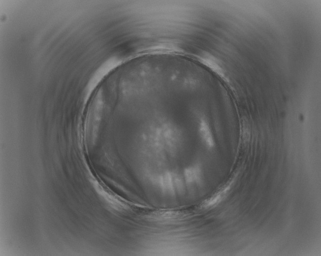 X0000070401474200606231750