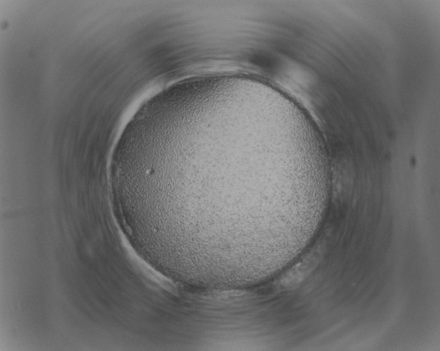 X0000070401475200606231750