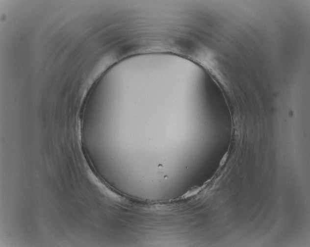 X0000070401476200606231750