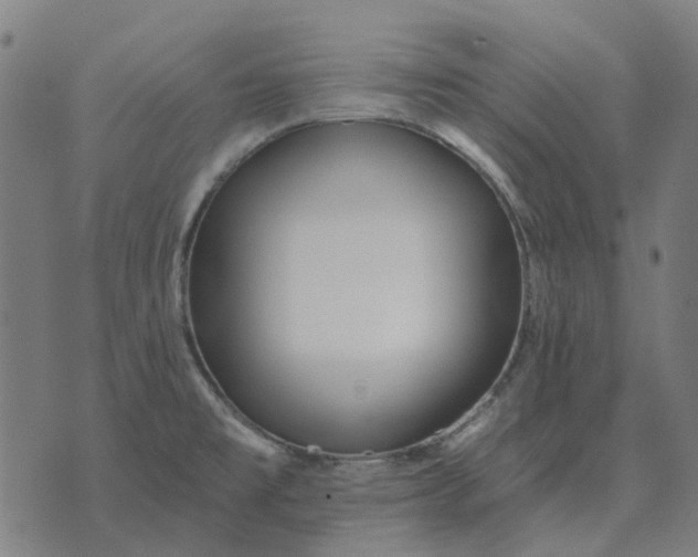 X0000070401477200606231750