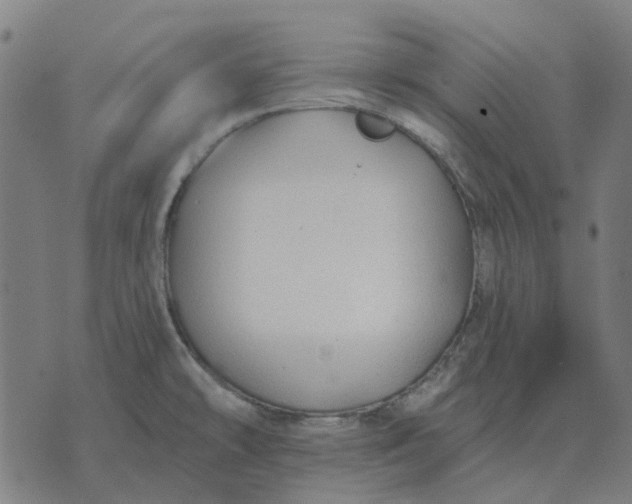 X0000070401478200606231750