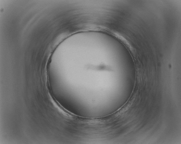 X0000070401479200606231750