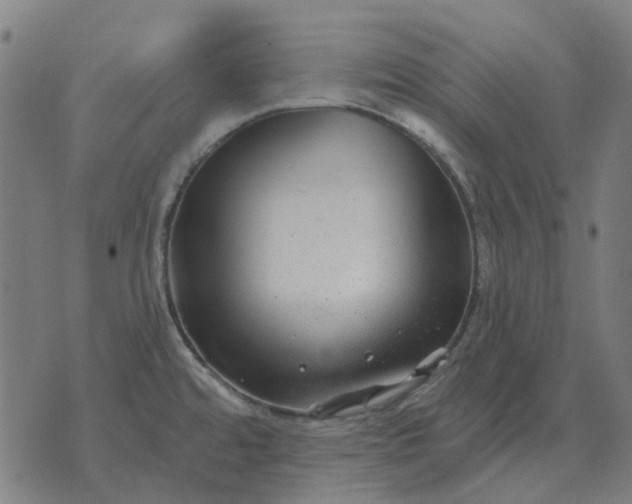 X0000070401480200606231750