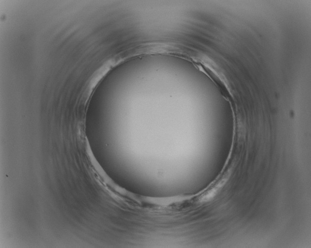 X0000070401481200606231750