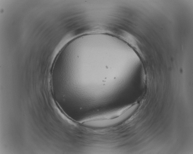 X0000070401484200606231750