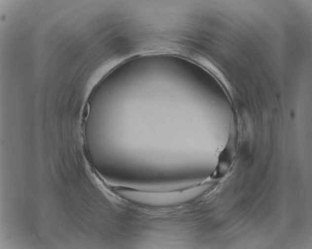 X0000070401485200606231750