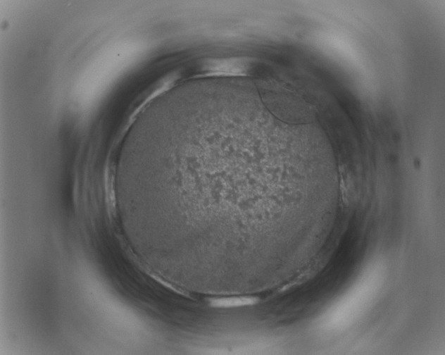 X0000070401487200606231750