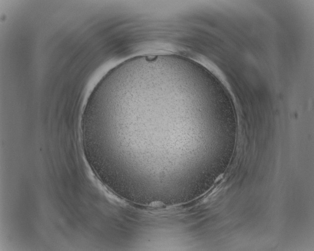 X0000070401488200606231750