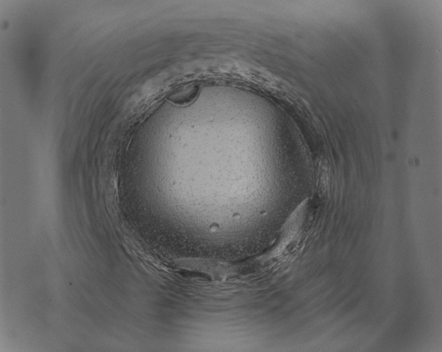 X0000070401489200606231749