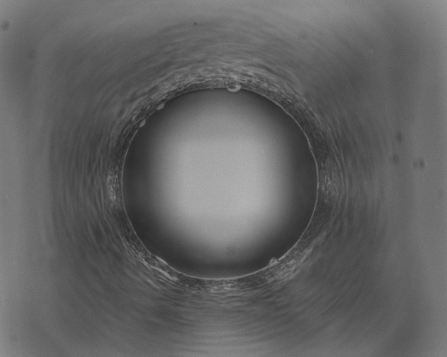 X0000070401490200606231749