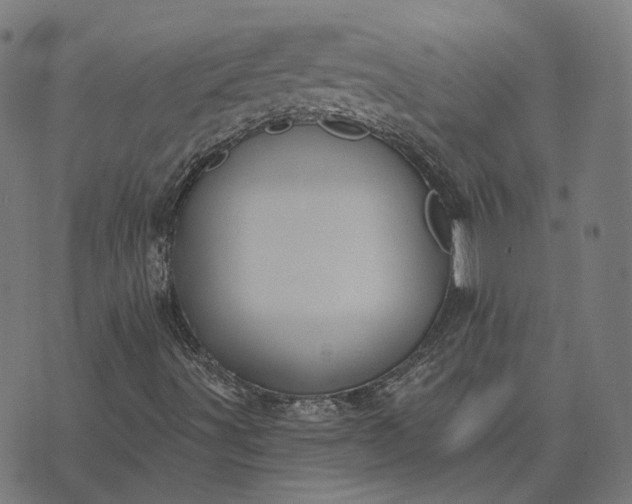 X0000070401491200606231749