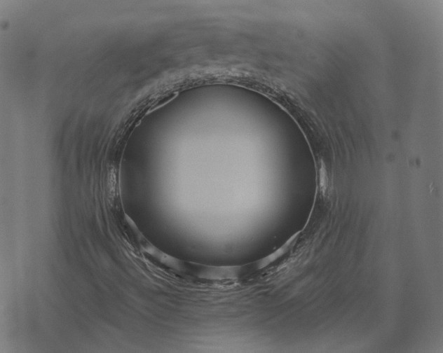 X0000070401492200606231749