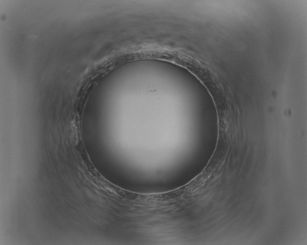 X0000070401493200606231749