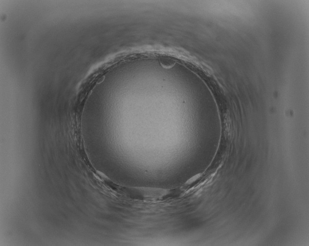 X0000070401494200606231749