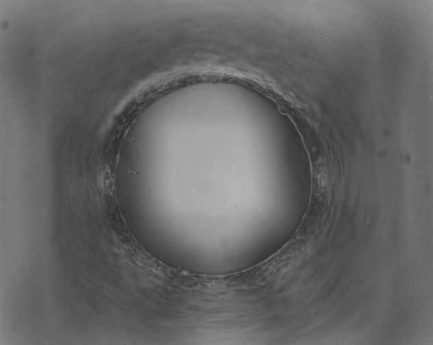 X0000070401495200606231749