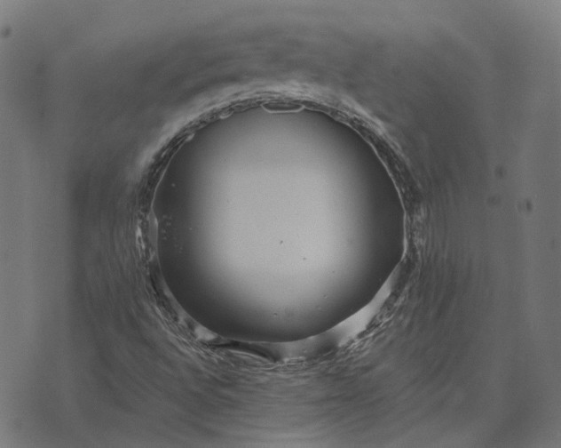 X0000070401496200606231749