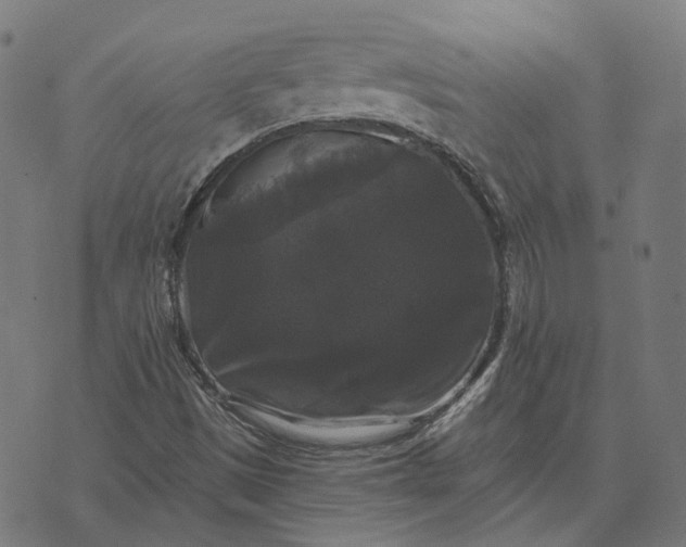 X0000070401497200606231749