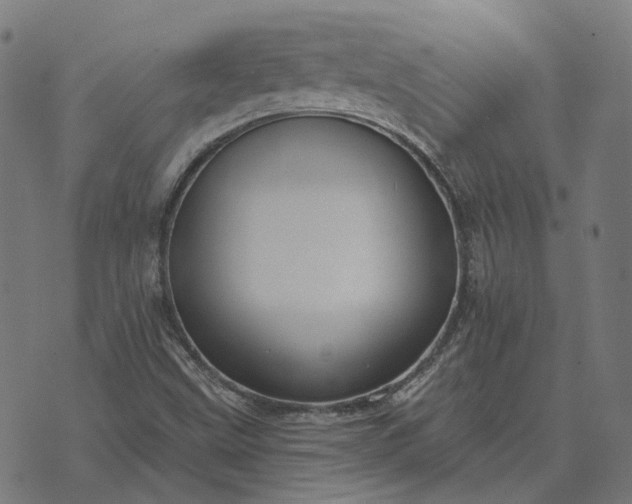 X0000070401499200606231749