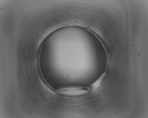 X0000070401500200606231749