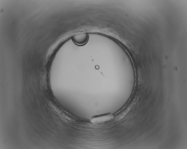 X0000070401502200606231749