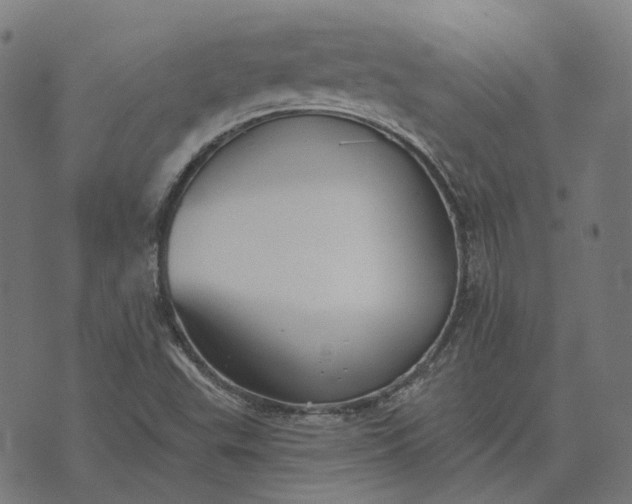 X0000070401503200606231749