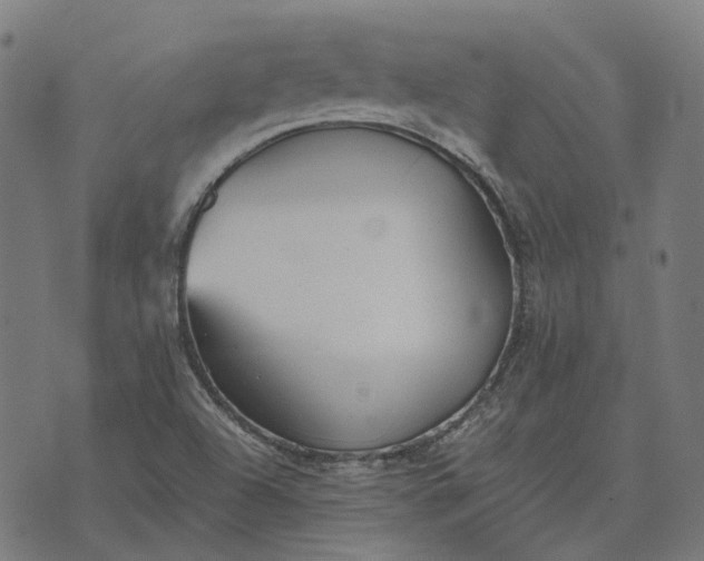 X0000070401504200606231749