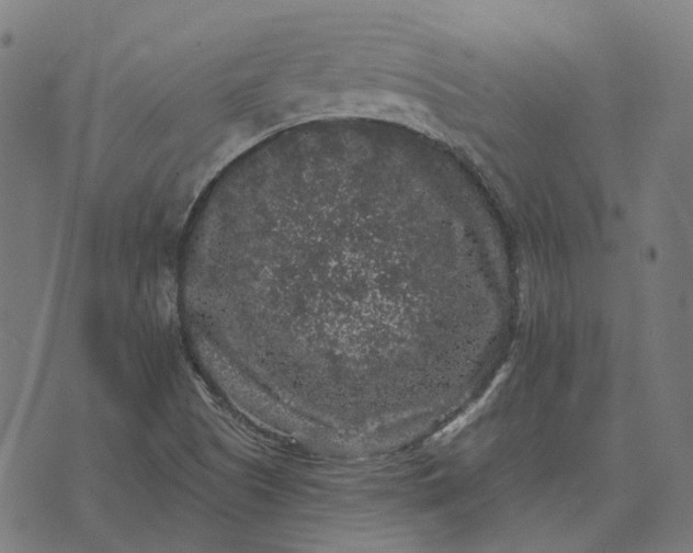 X0000070401505200606231749