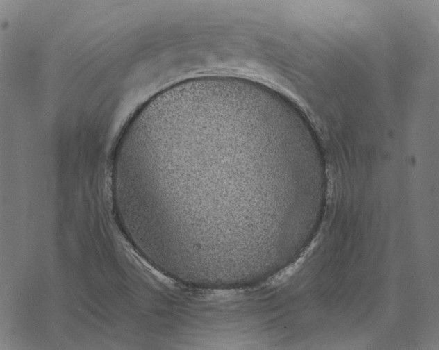 X0000070401506200606231749