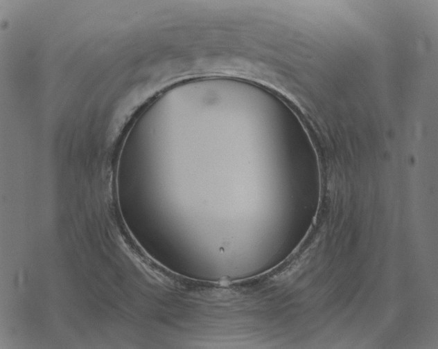 X0000070401507200606231749