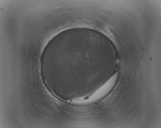 X0000070401508200606231749