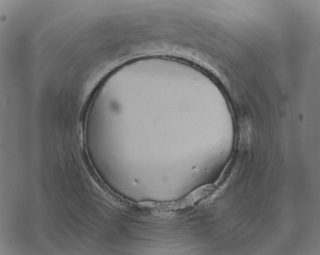 X0000070401509200606231749