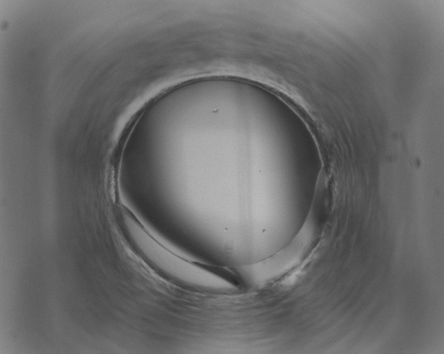 X0000070401510200606231749