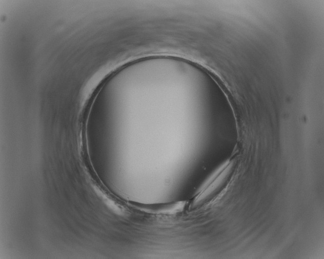 X0000070401511200606231749