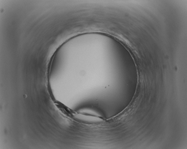 X0000070401512200606231749