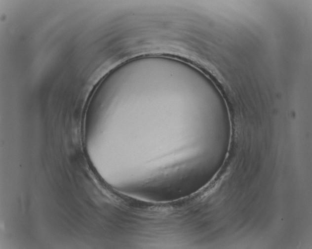 X0000070401513200606231749