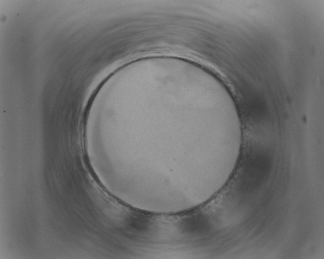 X0000070401514200606231749