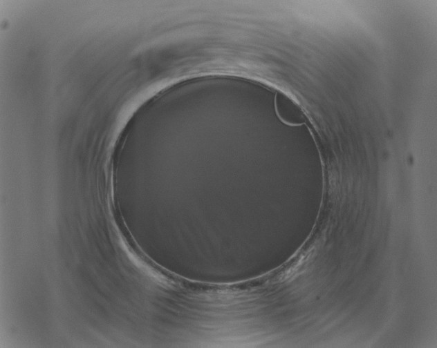 X0000070401515200606231749