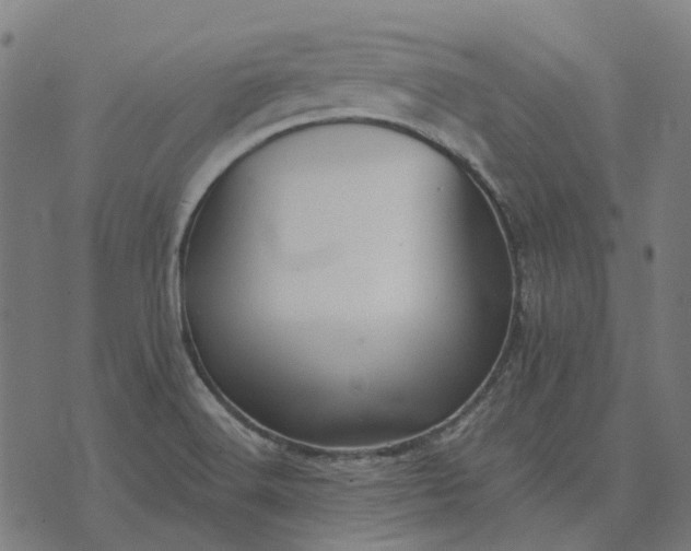 X0000070401516200606231749