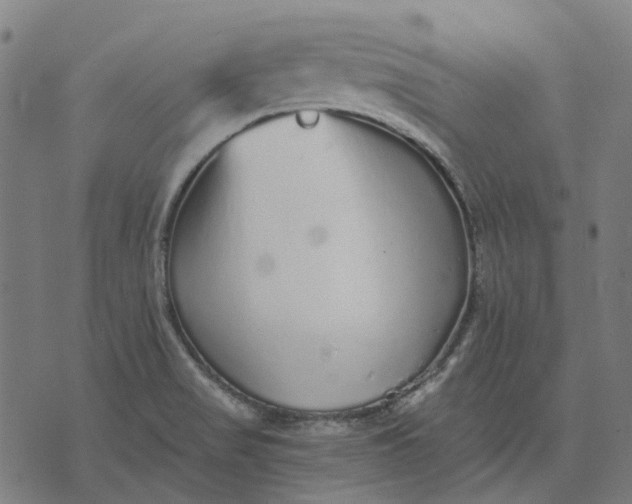 X0000070401517200606231749